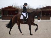 jument assurance vie pour dressage amateur