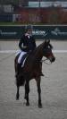 jument assurance vie pour dressage amateur