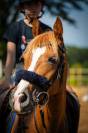 Ponette D pour demi-pension 