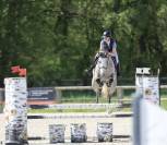 Jument Selle Fran&ccedil;ais &ndash; 7 ans &ndash; Excellentes origines 