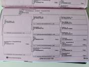 Jument de concours complet de 4 ans