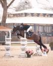 URGENT ! Super poney pour &eacute;voluer de P1 &agrave; Pelite/As2