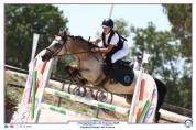 poney d&rsquo;as &agrave; vendre 