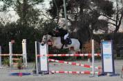 poney d&rsquo;as &agrave; vendre 