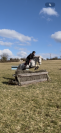 Connemara PP 13 ans