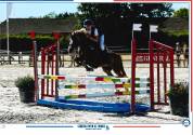 Veulen (vr) Welsh Pony (Section B) Te koop 2025 Vos ,  EYARTH ANOKI
