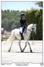 Poney C welsh pb 
