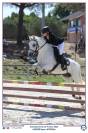 Poney C welsh pb 