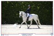 Poney C welsh pb 