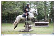 Poney C welsh pb 