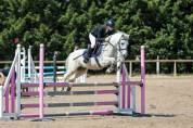 Poney C welsh pb 