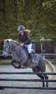 Hongre pp connemara 4 ans 