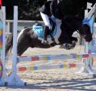 &Agrave; vendre &ndash; Eliot Poney B