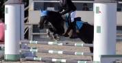 &Agrave; vendre &ndash; Eliot Poney B
