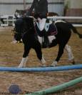 &Agrave; vendre &ndash; Eliot Poney B