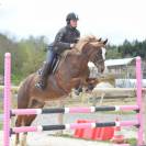 Jument welsh cob