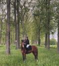 Cheval de 8 ans a vendre