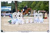 Cheval de 8 ans a vendre