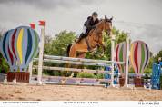 Cheval de 8 ans a vendre