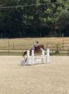 Jument SF 7 ans 