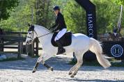 Legend Star D'Alam Poney AS 2/1 