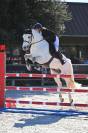 Legend Star D'Alam Poney AS 2/1 