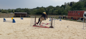 Poney D de 4 ans 