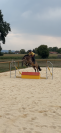 Poney D de 4 ans 