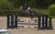 Cheval de sport sorti en 130 