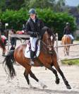 A VENDRE JOLI PONEY BAI HONGRE DE 11 ANS