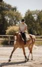 hongre alezan crins lav&eacute;s SF Polyvalent CSO/DRESS