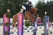 hongre alezan crins lav&eacute;s SF Polyvalent CSO/DRESS