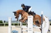 hongre alezan crins lav&eacute;s SF Polyvalent CSO/DRESS
