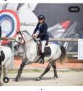 PONEYS A VENDRE