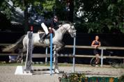 PONEYS A VENDRE