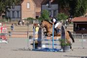PONEYS A VENDRE