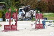 PONEY A VENDRE
