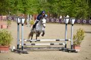 PONEY A VENDRE