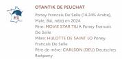 M&acirc;le 2 ans PFS par Movie Star Tilia 