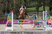 Poney &agrave; vendre - Magnifique poney de sport