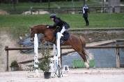 Poney &agrave; vendre - Magnifique poney de sport