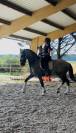 Cheval onc