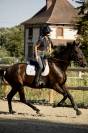 Cheval de loisir 
