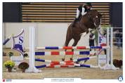Jument 4 ans top lign&eacute;e pour connaisseur 