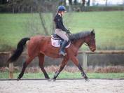 Jument de 10 ans