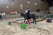 Ponette taille B polyvalente 