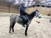 Ponette taille B polyvalente 