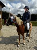 Poney taille B 