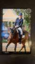 Cheval de dressage 
