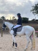 cheval 15ans